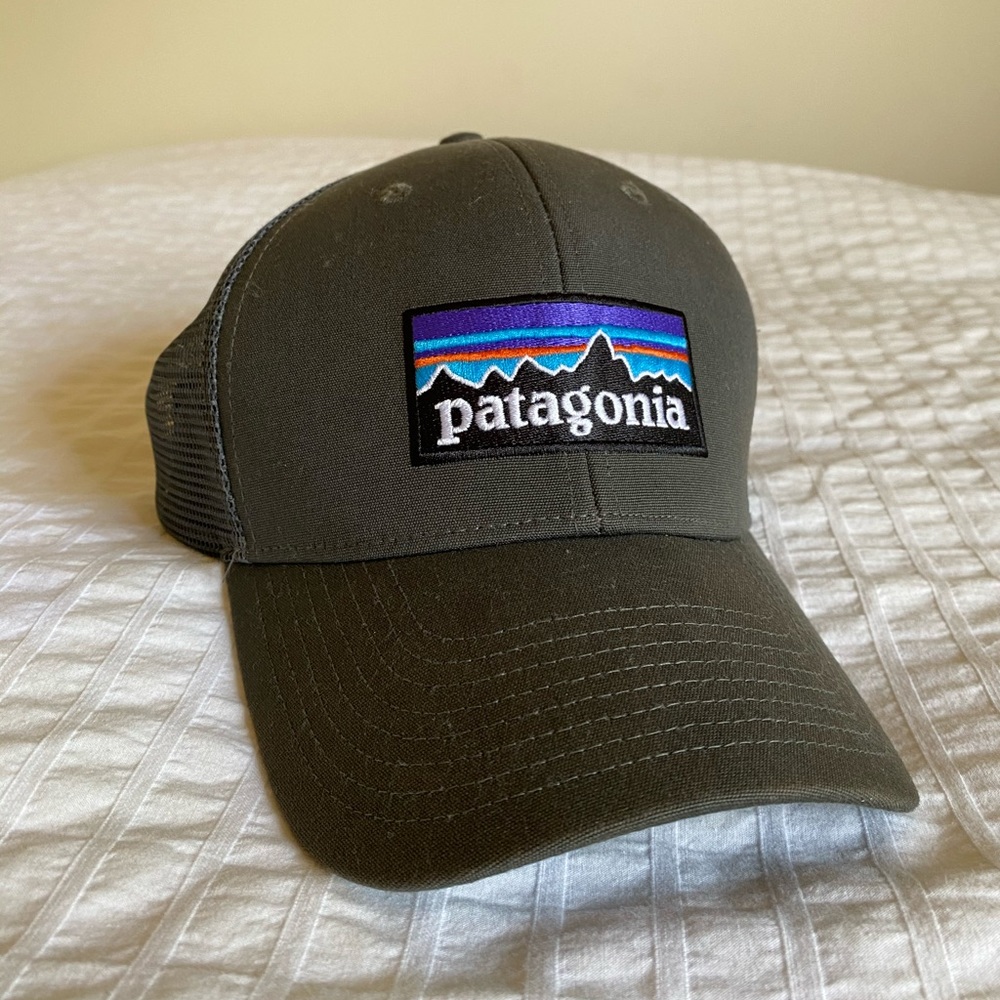 Brand New Patagonia Logo Hat
